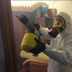 Уничтожение клопов в квартире. Орлов